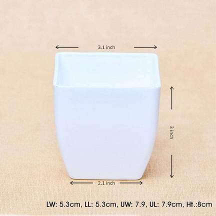 3.3 Inch (8 Cm) Square Plastic Planter With Rounded Edges (White) (set Of 6)
